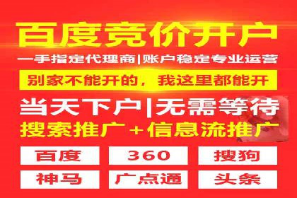 SEM代运营托管公司案例深度解读